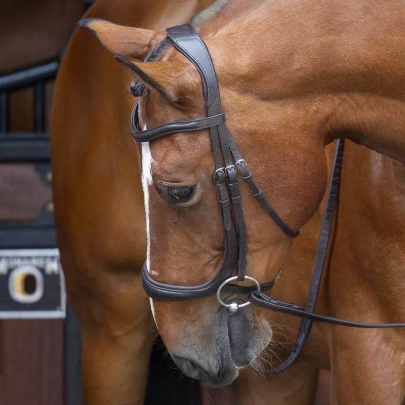 Shires Velociti RAPIDA Ergononic Curved Cavesson Bridle - Havana
